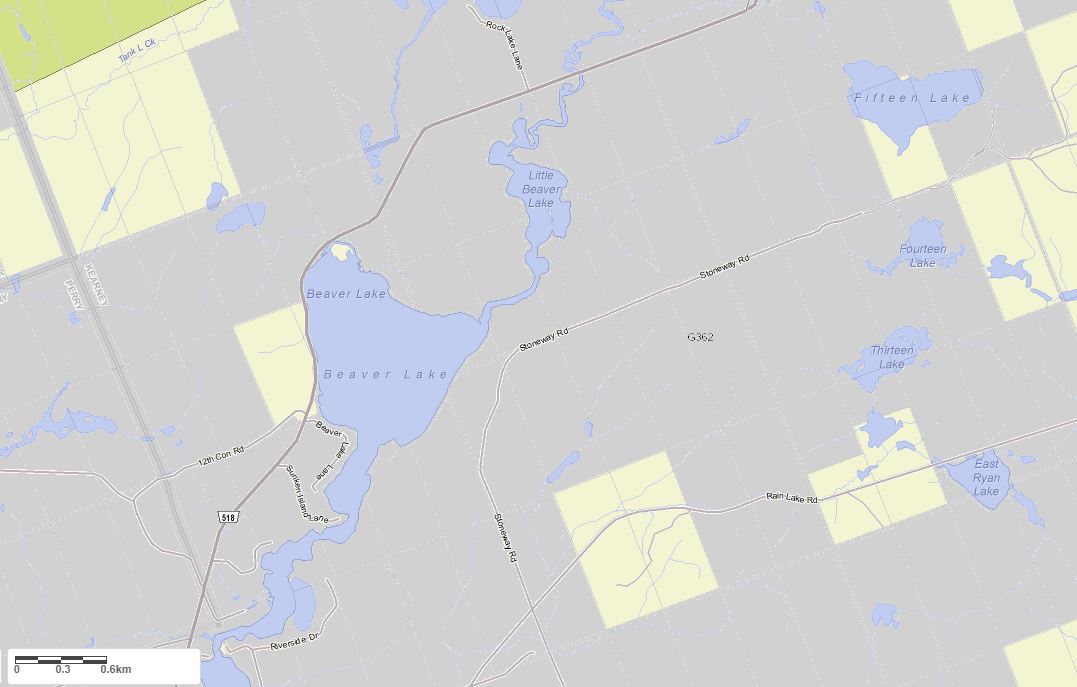Crown Land Map of Beaver Lake in Municipality of Kearney and the District of Parry Sound